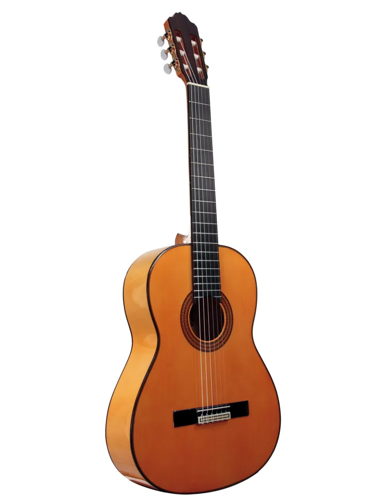  ESTEVE GUITAR 5F TABLE EPICEA|MusicGoodDeal 