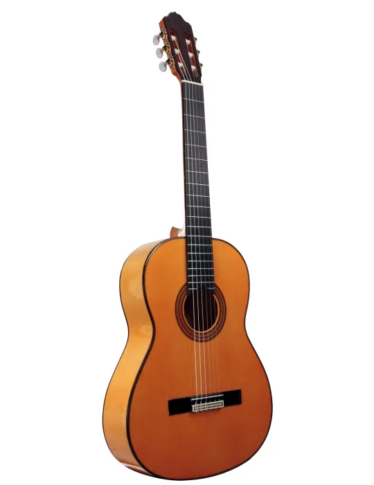  ESTEVE GUITAR 5F TABLE EPICEA|MusicGoodDeal 