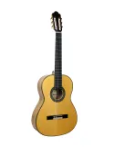  ESTEVE GUITAR 5FES TABLE EPICEA|MusicGoodDeal 