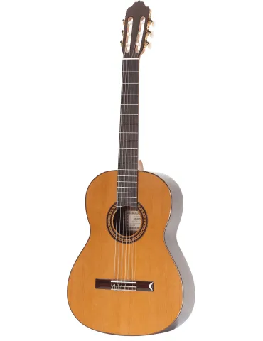  ESTEVE GUITAR 6PS|MusicGoodDeal 