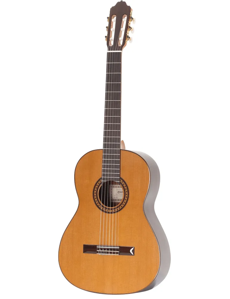  ESTEVE GUITAR 6PS|MusicGoodDeal 