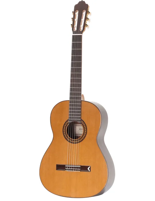  ESTEVE GUITAR 6PS|MusicGoodDeal 