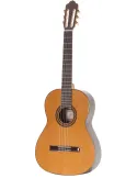  ESTEVE GUITAR 6PS|MusicGoodDeal 
