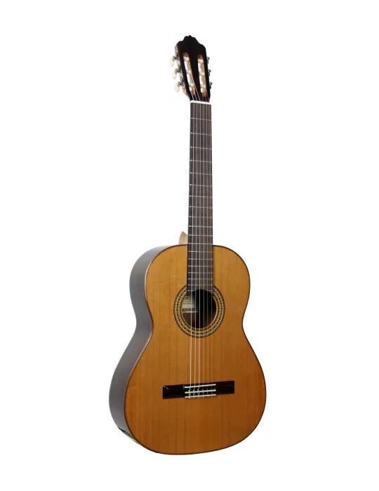 ESTEVE 15443 | MusicGoodDeal