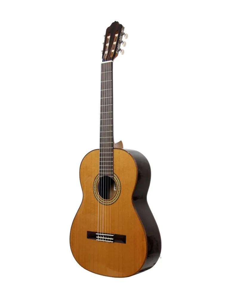 ESTEVE 15443 | MusicGoodDeal
