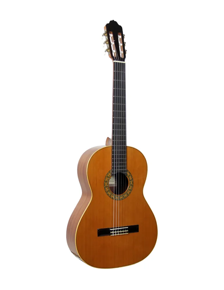  ESTEVE GUITAR MOD.1 F/E BUBINGA|MusicGoodDeal 