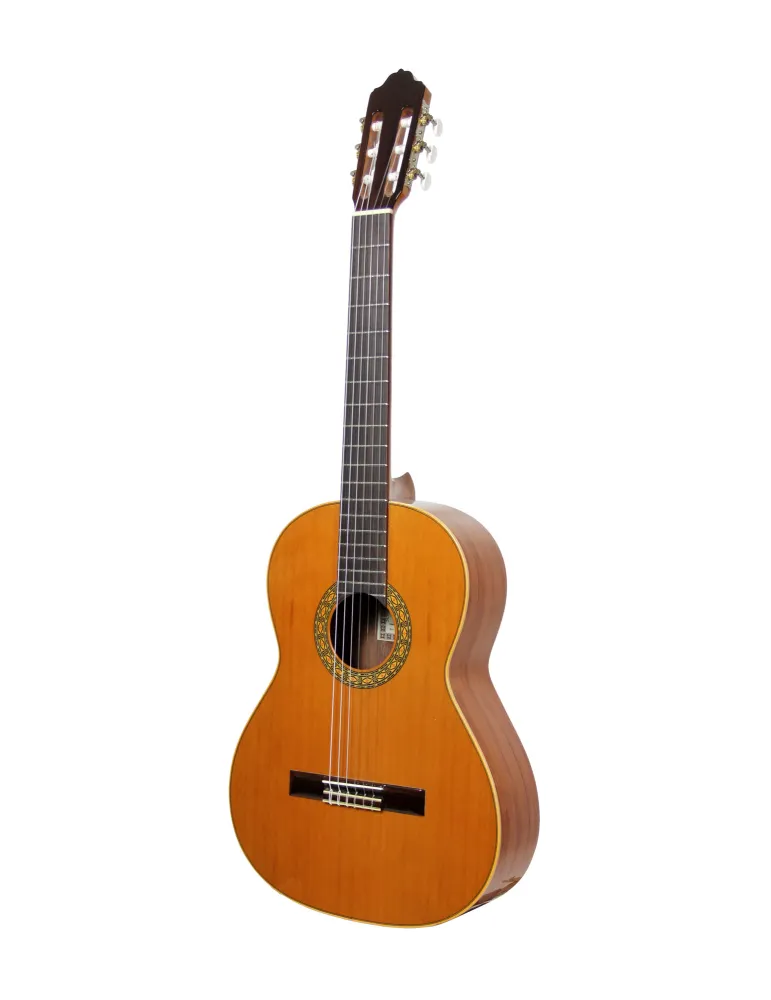  ESTEVE GUITAR MOD.1 F/E BUBINGA|MusicGoodDeal 