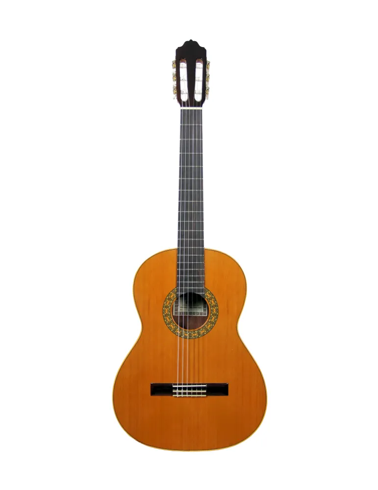  ESTEVE GUITAR MOD.1 F/E BUBINGA|MusicGoodDeal 