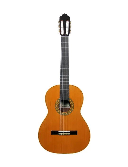  ESTEVE GUITAR MOD.1 F/E BUBINGA|MusicGoodDeal 