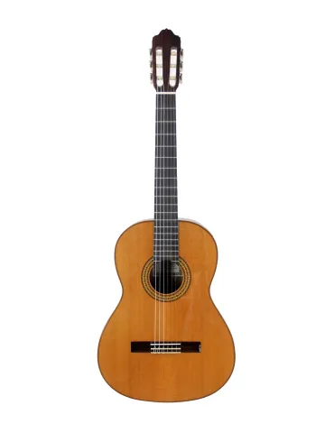 ESTEVE 15443TB | MusicGoodDeal