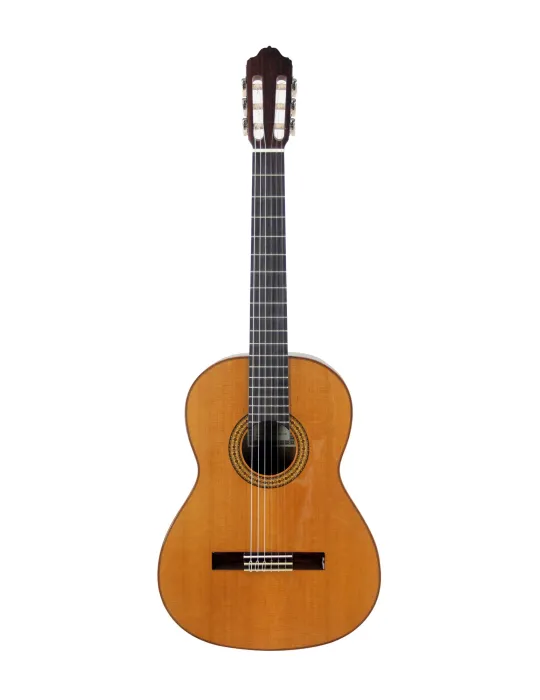 ESTEVE 15443TB | MusicGoodDeal