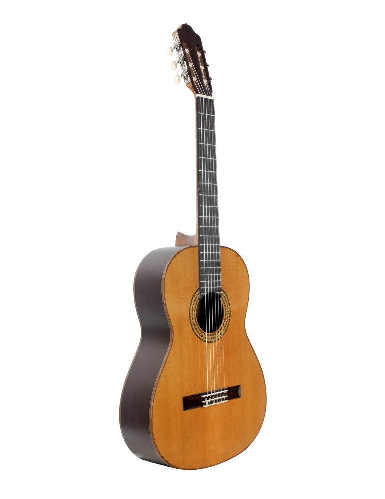ESTEVE 15443TB | MusicGoodDeal