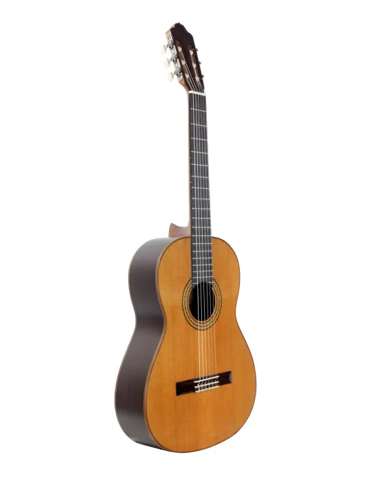 ESTEVE 15443TB | MusicGoodDeal