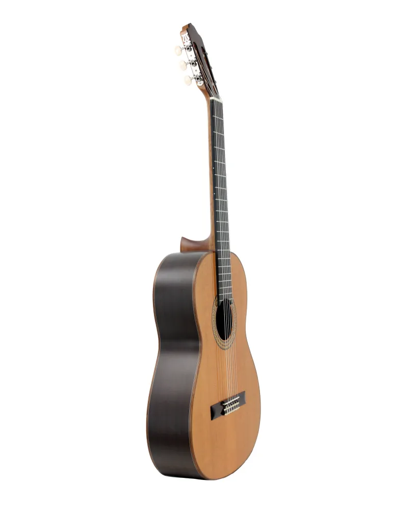 ESTEVE 15443TB | MusicGoodDeal