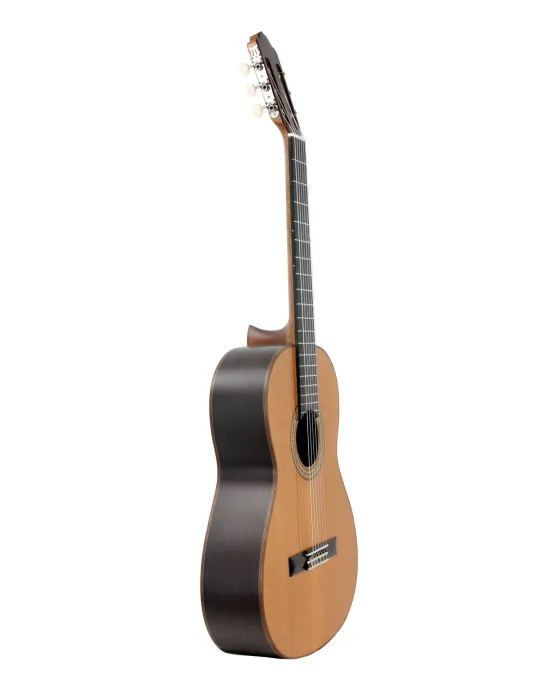 ESTEVE 15443TB | MusicGoodDeal