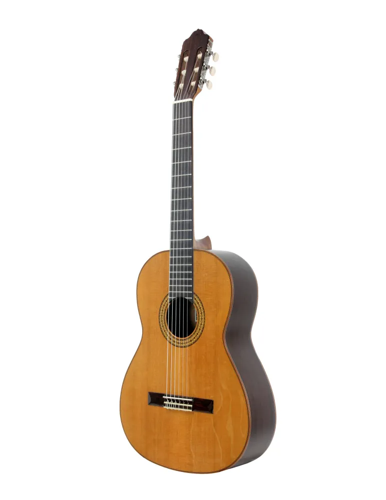 ESTEVE 15443TB | MusicGoodDeal