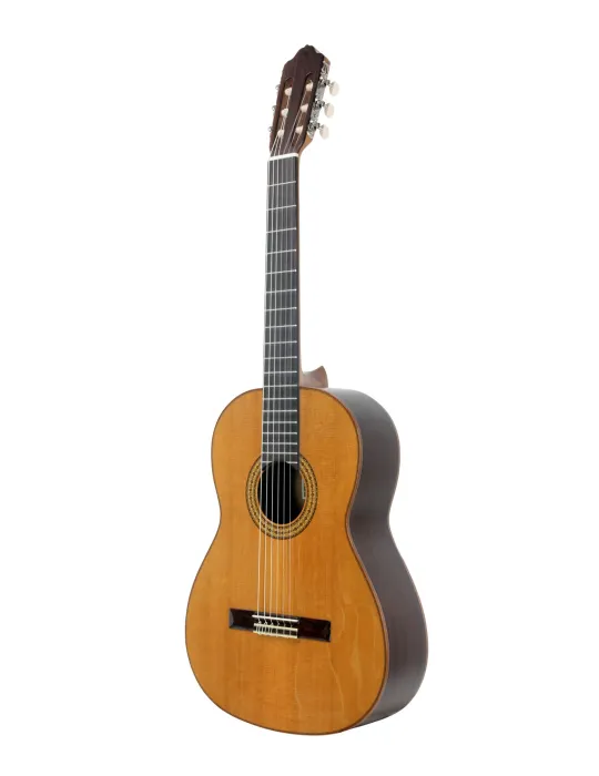 ESTEVE 15443TB | MusicGoodDeal