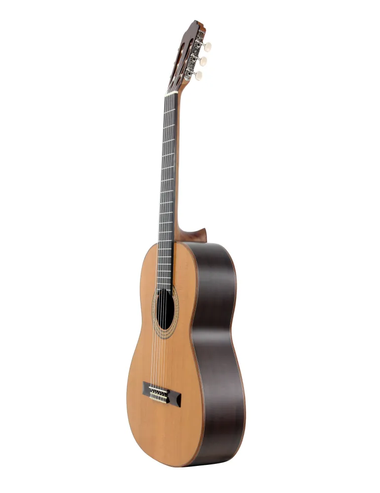 ESTEVE 15443TB | MusicGoodDeal