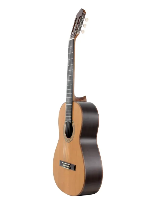 ESTEVE 15443TB | MusicGoodDeal