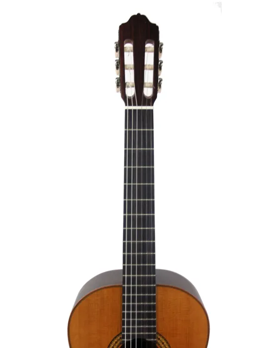 ESTEVE 15443TB | MusicGoodDeal