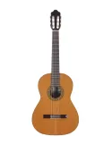 ESTEVE 15441TB | MusicGoodDeal