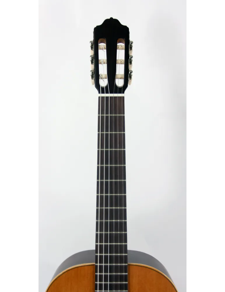 ESTEVE 15441TB | MusicGoodDeal