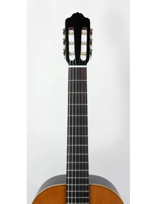 ESTEVE 15441TB | MusicGoodDeal