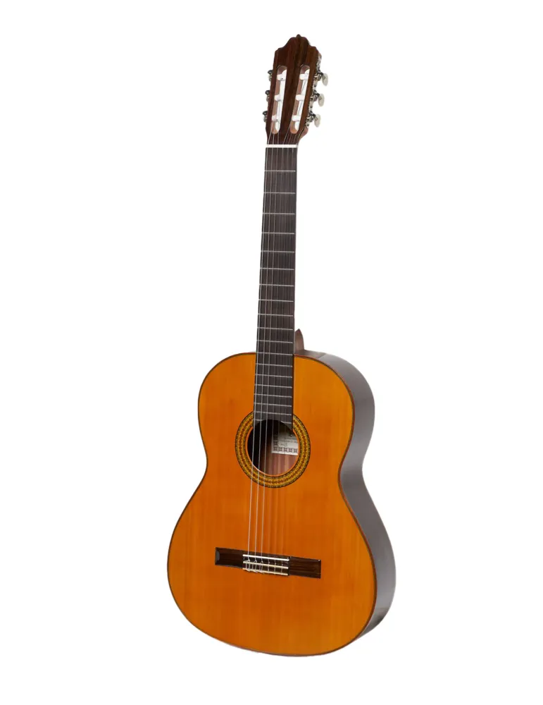 ESTEVE 15443OP | MusicGoodDeal