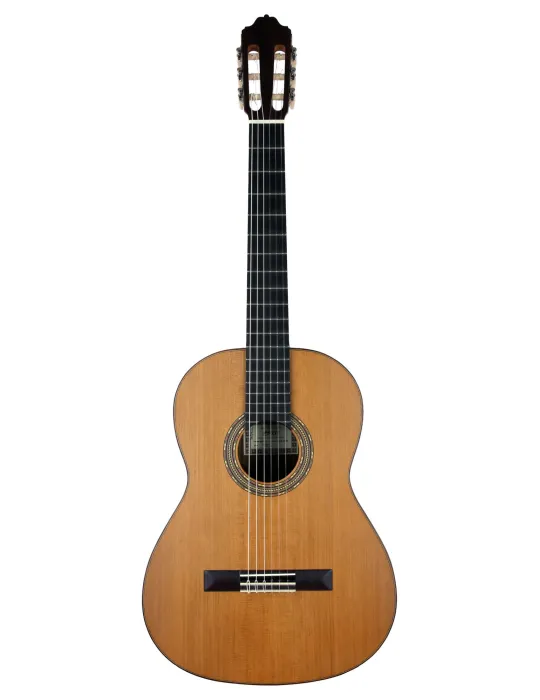 ESTEVE 15425OP | MusicGoodDeal