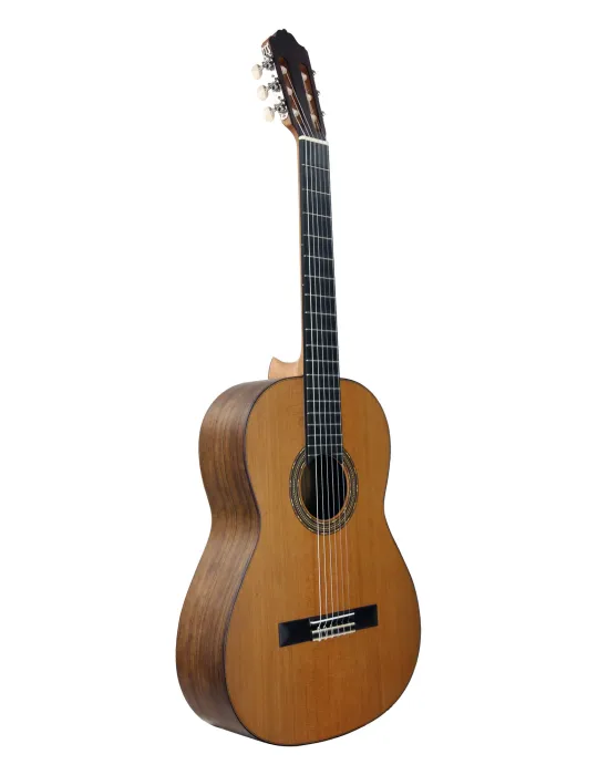 ESTEVE 15425OP | MusicGoodDeal