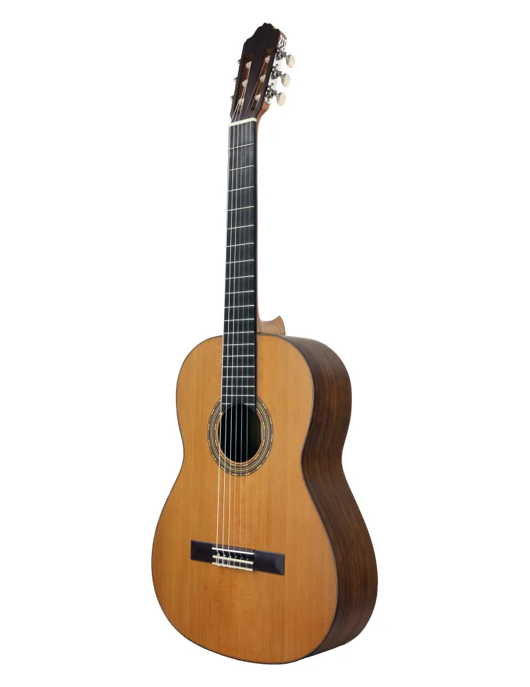 ESTEVE 15425OP | MusicGoodDeal