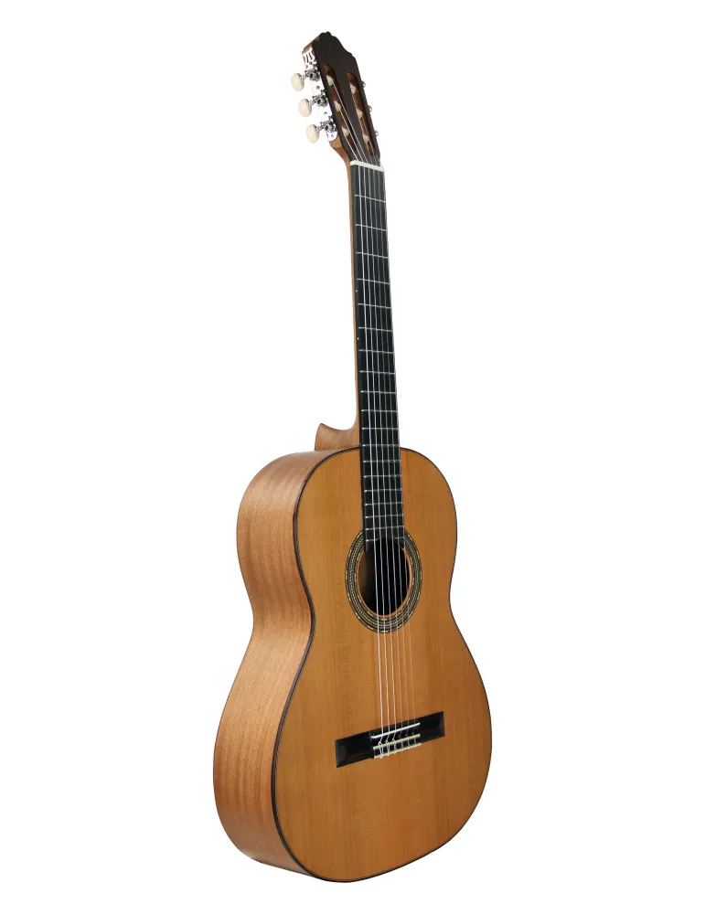 ESTEVE 15424OP | MusicGoodDeal