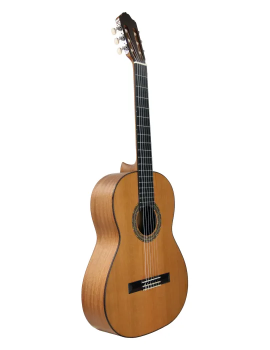 ESTEVE 15424OP | MusicGoodDeal