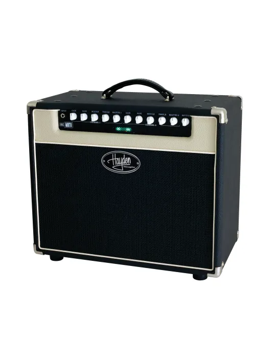  HAYDEN DMOFO15 COMBO DOBLE MOFO 15W|MusicGoodDeal 