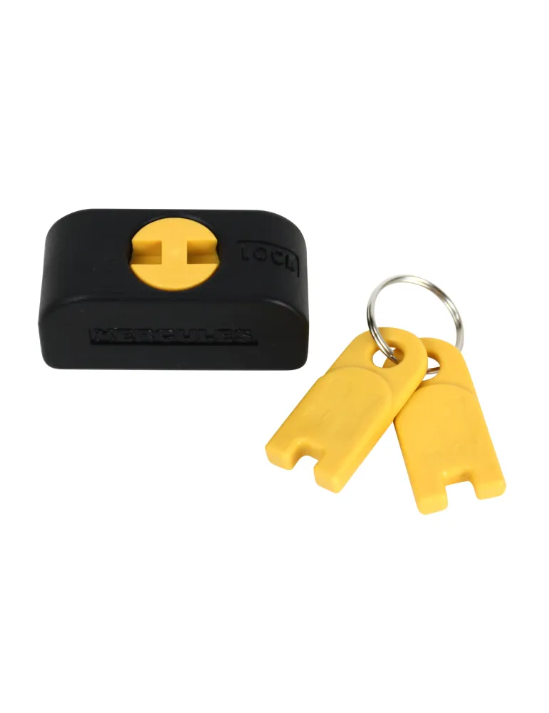  HERCULES SET 1 VERSCHLUSS + 2 SCHLÜSSEL FÜR AGS|MusicGoodDeal 