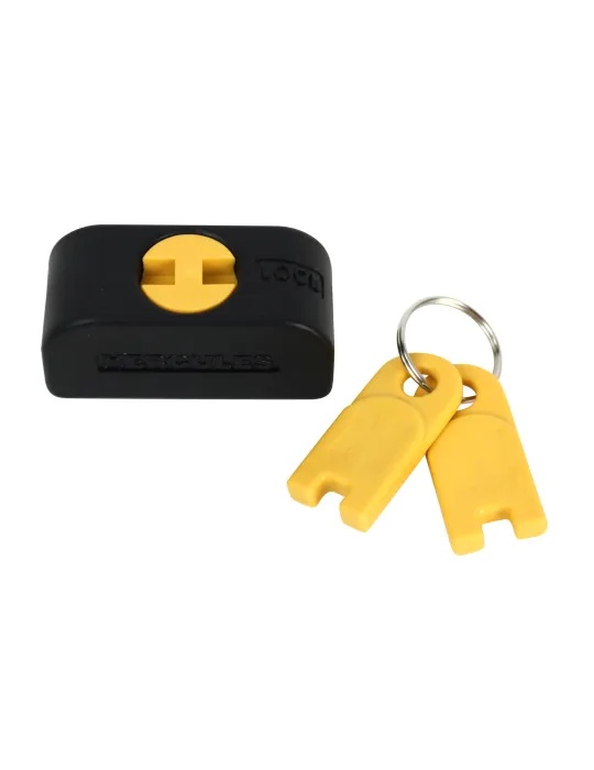  HERCULES SET 1 VERSCHLUSS + 2 SCHLÜSSEL FÜR AGS|MusicGoodDeal 