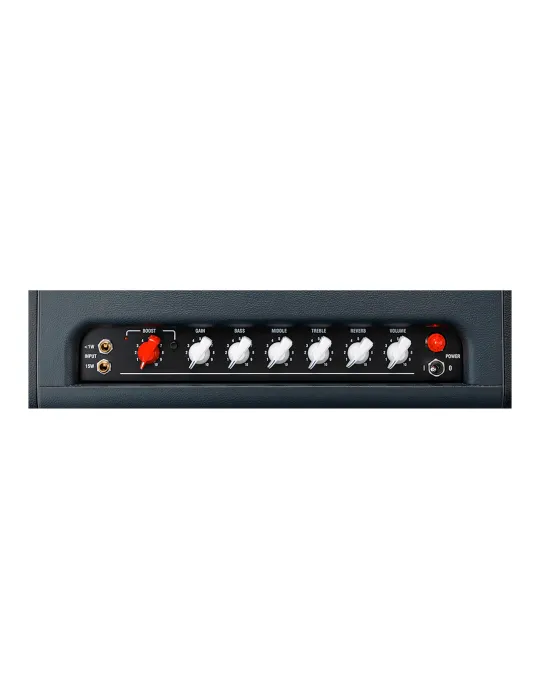 LANEY CUB-SUPERTOP | MusicGoodDeal