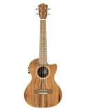LANIKAI ACST-CET | MusicGoodDeal