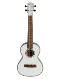 LANIKAI JMS-AWT2 | MusicGoodDeal