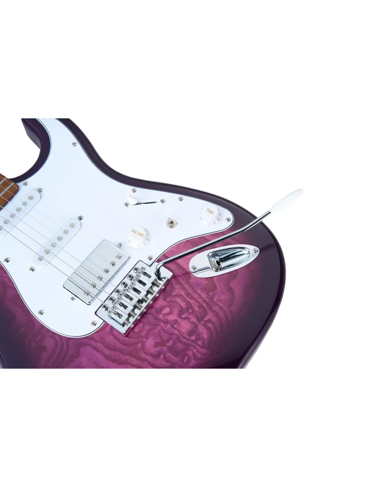 MOOER MSC20PRO-PPU | MusicGoodDeal
