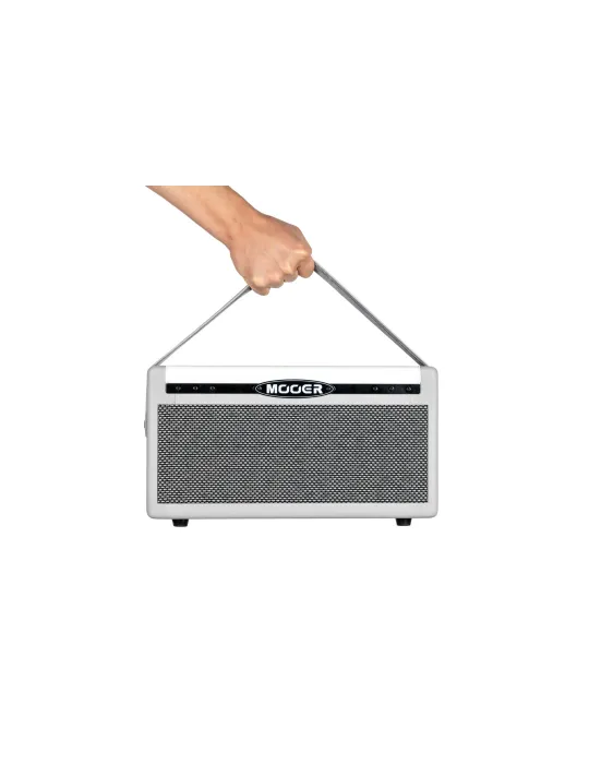 MOOER SD30I | MusicGoodDeal