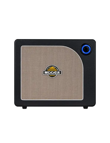 MOOER HORNET30IBK | MusicGoodDeal