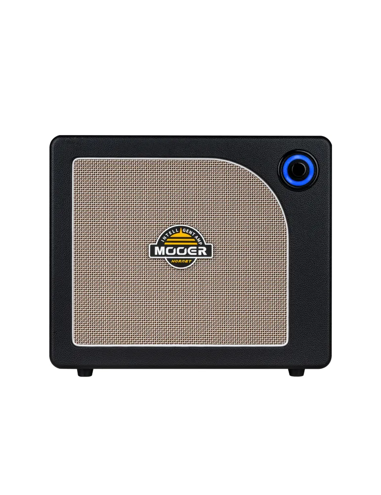 MOOER HORNET30IBK | MusicGoodDeal
