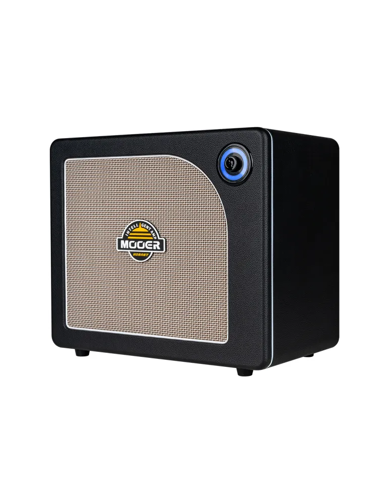 MOOER HORNET30IBK | MusicGoodDeal