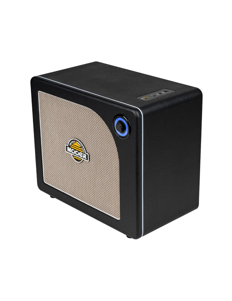 MOOER HORNET30IBK | MusicGoodDeal