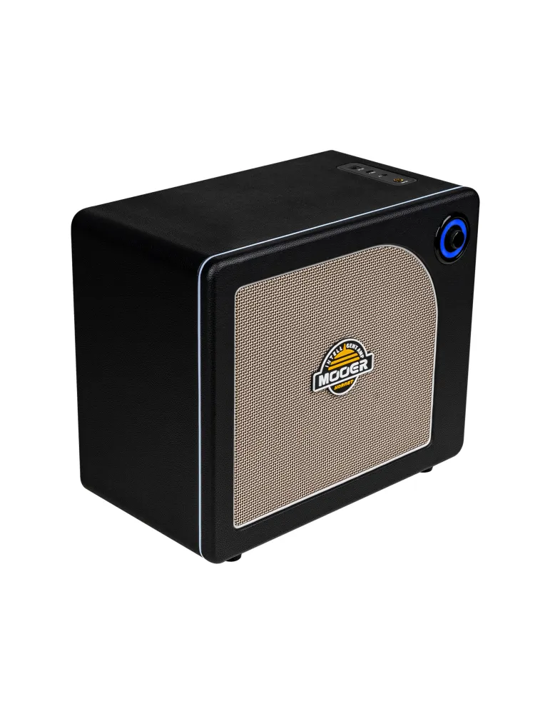 MOOER HORNET30IBK | MusicGoodDeal
