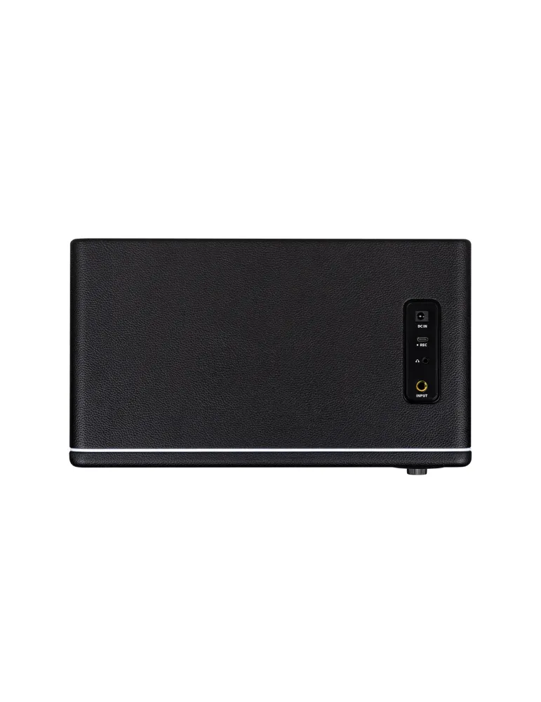 MOOER HORNET30IBK | MusicGoodDeal