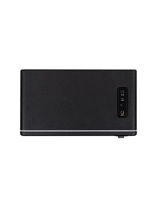 MOOER HORNET30IBK | MusicGoodDeal
