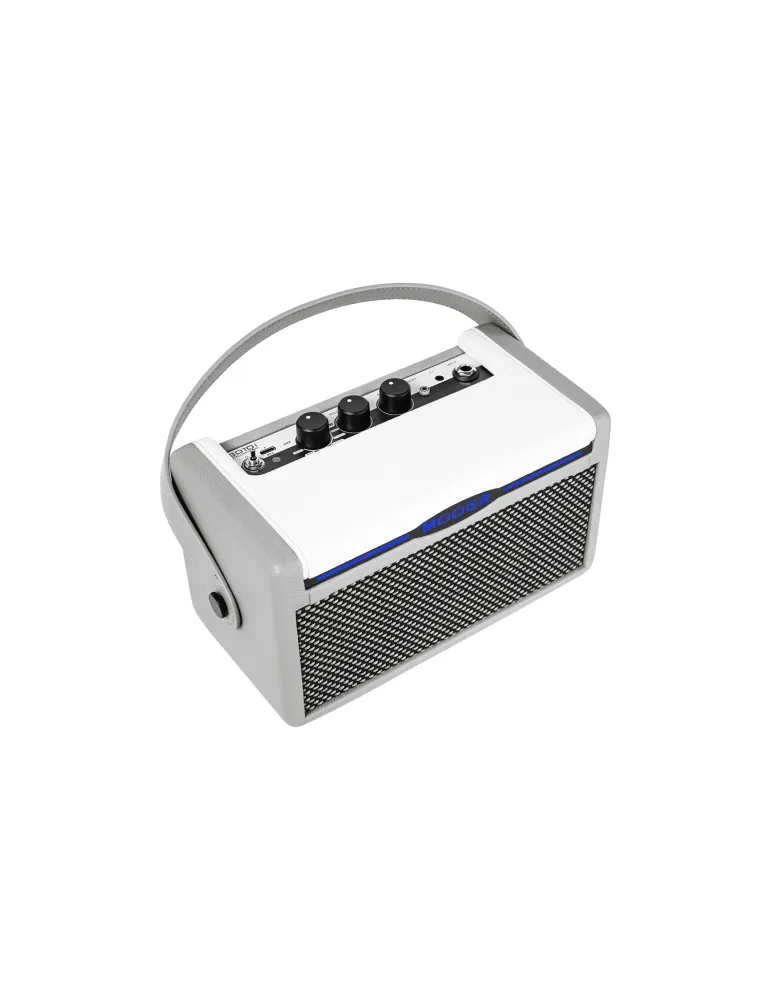 MOOER SD10I-GY | MusicGoodDeal