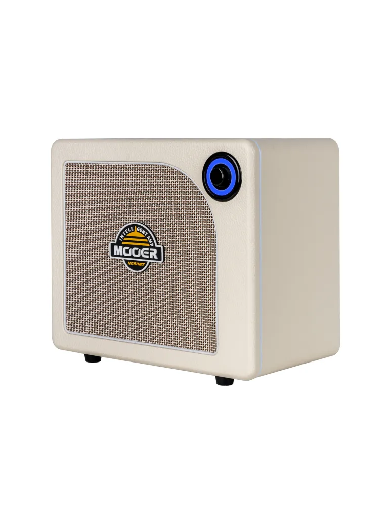 MOOER HORNET15IWH | MusicGoodDeal